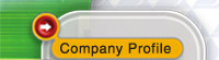 Company Profile